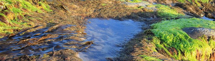 blog 3