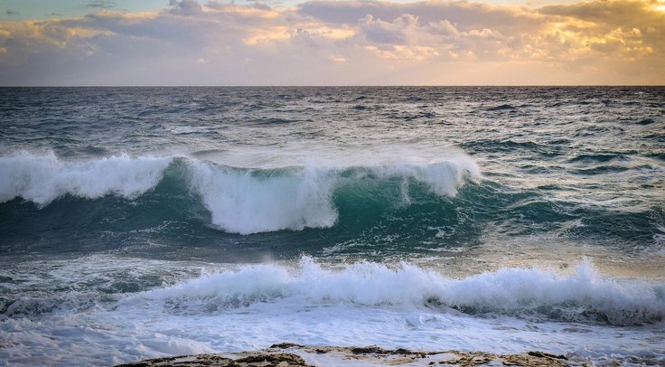 blog 5